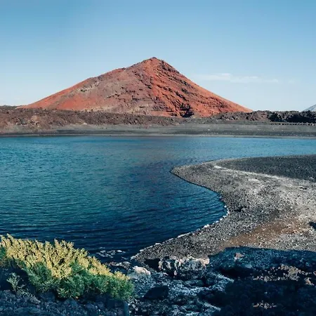 The Birds House Peaceful Garden Retreat