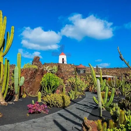 公寓 The Birds House Peaceful Garden Retreat