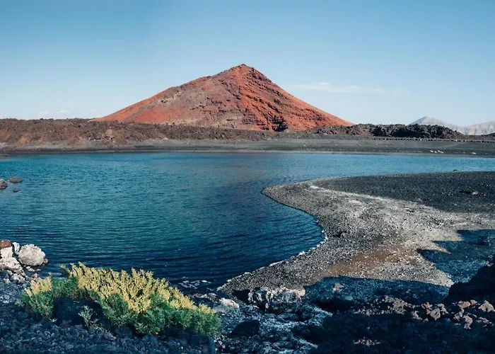 The Birds House Peaceful Garden Retreat